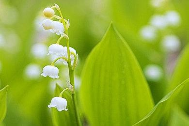 《子弹风暴VR》推迟到2024年1月18日发售